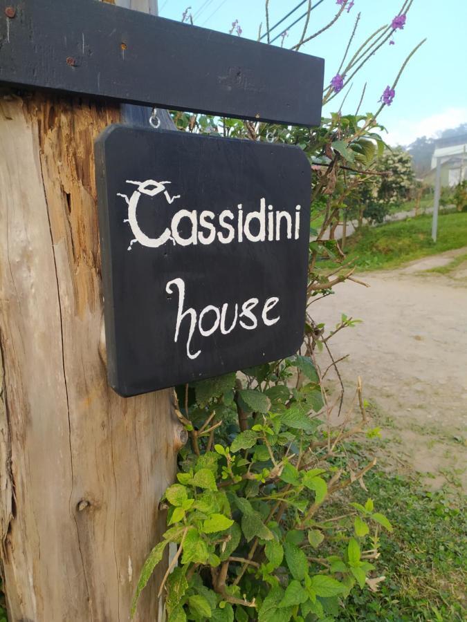 Apartament Cassidini House Monteverde Zewnętrze zdjęcie